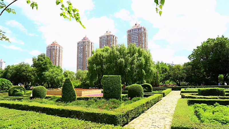成都草坪养护服务：关键步骤与注意事项